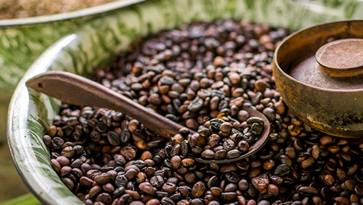 Kaffeeröstung